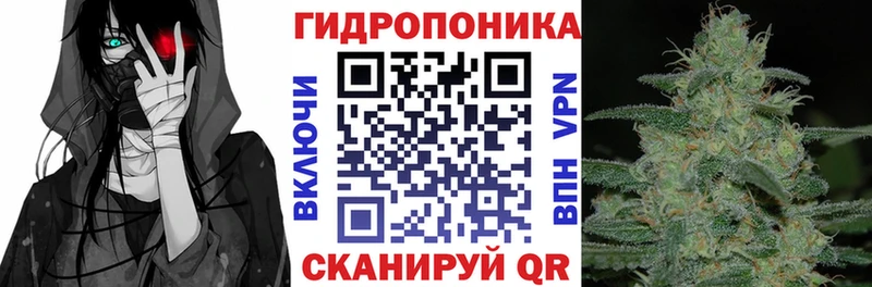 Псилоцибиновые грибы Нестеров
