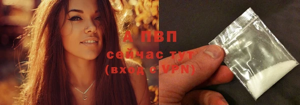 прущие грибы Володарск