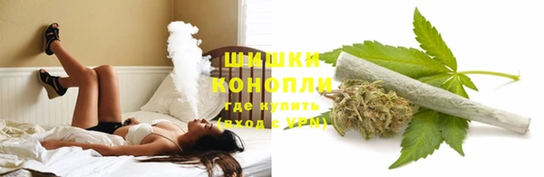 прущие грибы Володарск
