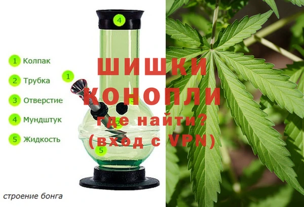 прущие грибы Володарск